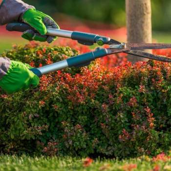 Landscaping Services in Roorkee