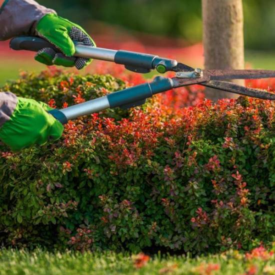 Landscaping Services in Roorkee